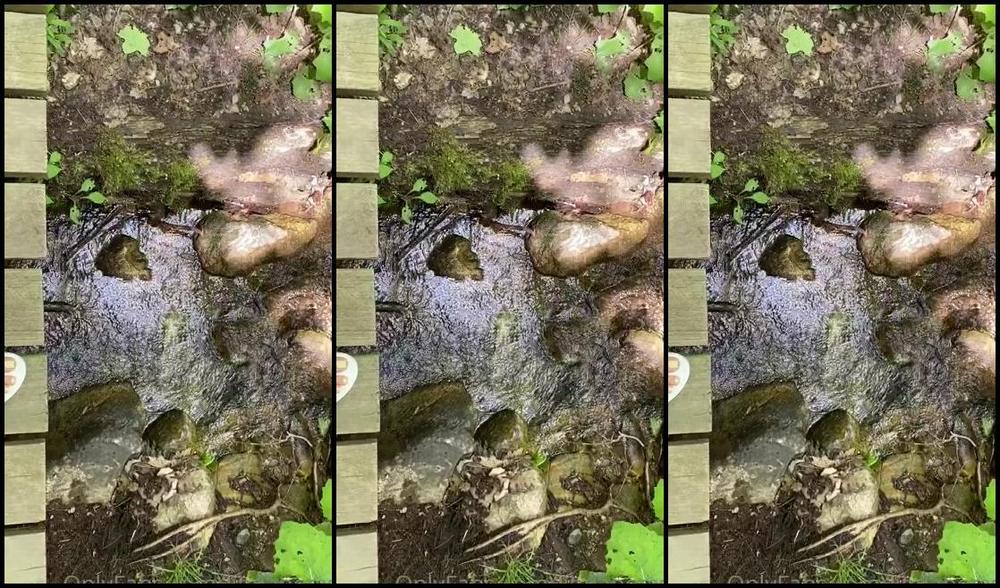 Lindabooxo Onlyfans Went Hiking Todayy In Flip Flops 1P