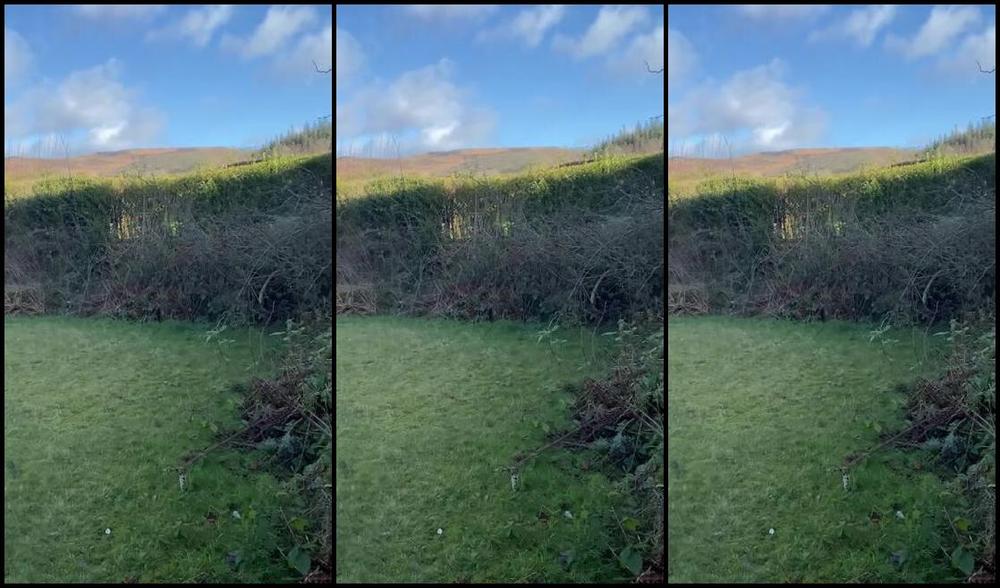 Ladydarkangeluk Onlyfans The State Of My Garden Lots Of Mud On My Boots Walking Round It But Just Look At My View