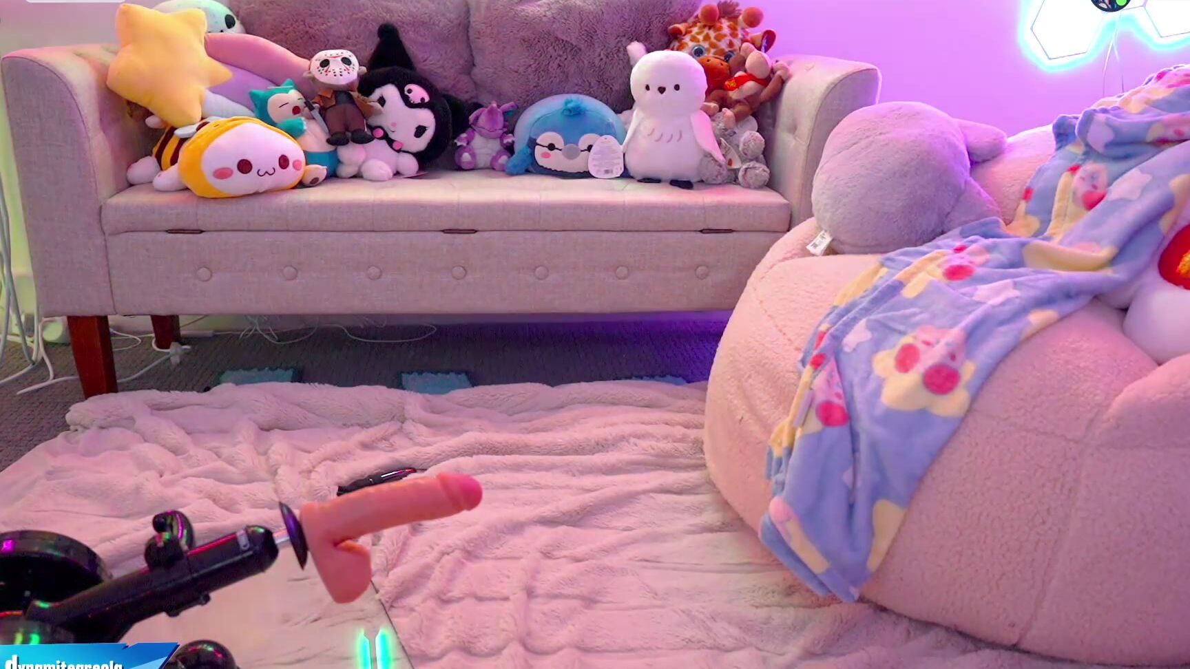 Kati3kat - 2024-06-08 (Bird_Brain) web cam