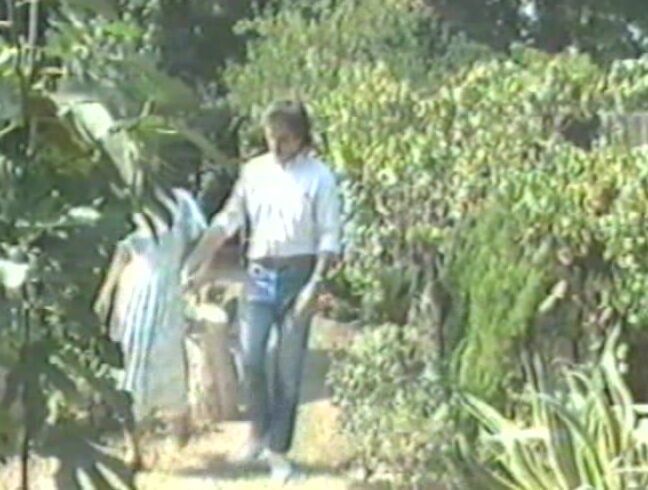 "Champagne,Charisma,Rebecca Steele,Susan Vegas,Tanya DeVries,Cal Jammer,Don Fernando,Mark DeBruin,Rick Daniels,Steve Vegas" Classic Dutch Masters Metro