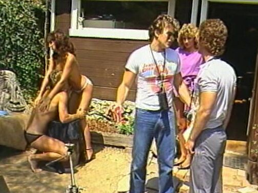 "Amber Lynn, Crystal Breeze, Desiree Lane, Karen Summer, Renee Tiffany, Buck Adams, Jay Serling, Jerry Butler, John Johnson" Feature, Classic, Straight Vixens in Heat Ecstasy /