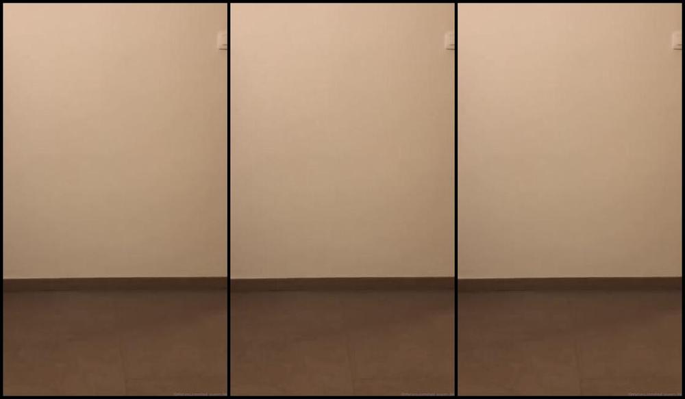 Red Queen Nicknamed Red Queen 94 Femdom 02 24 2020 Onlyfans Video Did A Big Shopping With A Good Pup Today And Now You Get To See What