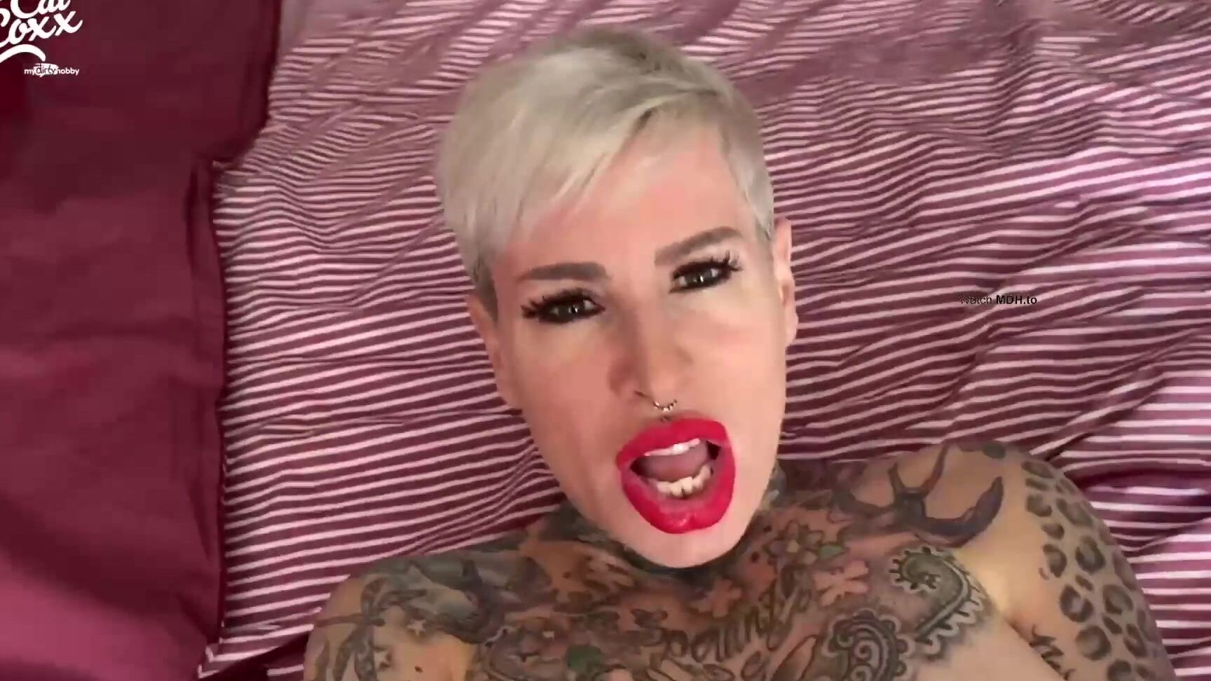 Cat Coxx 20.04.18  Unglaublich was ich da wieder getan hab MyDirtyHobby