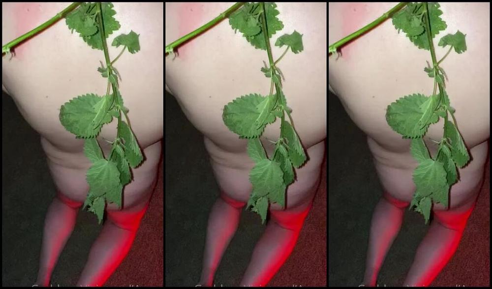 Vivienne L Amour Aka Vlproductionsuk Onlyfans Scourging With Nettles If You Are A Masochist Come And Serve Me I Will Get So Wet Over Your Tria