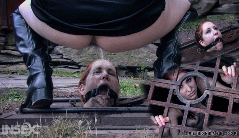 Ring Gag, Bdsm Calico, Sister Dee - Ice Pony I SiteRip