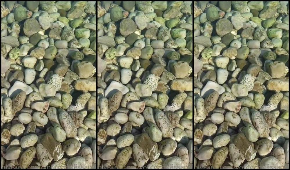 Yourgoddessanna51K Nicknamed Yourgoddessanna1 07 07 2023 Onlyfans Video Does This Make You Weak T