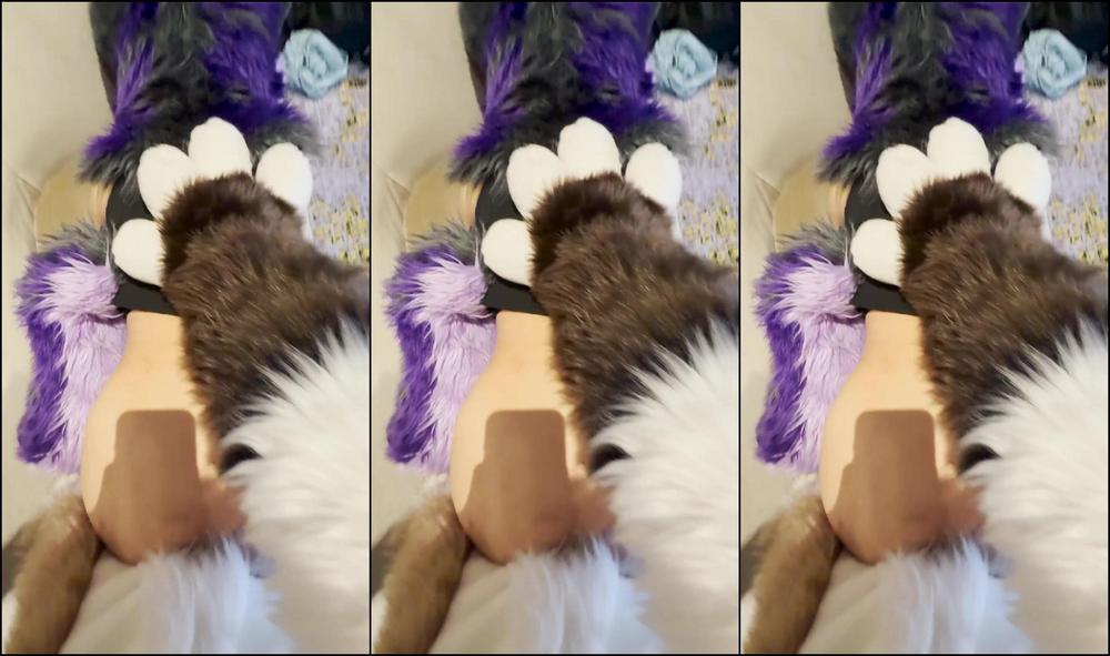 Palacewolf 800094716 Full Video Watch Me Pound This Petite Girl And Creampie T 01 8Cce319A A7Ee 4D12 9De9 5Db9E3Ced801