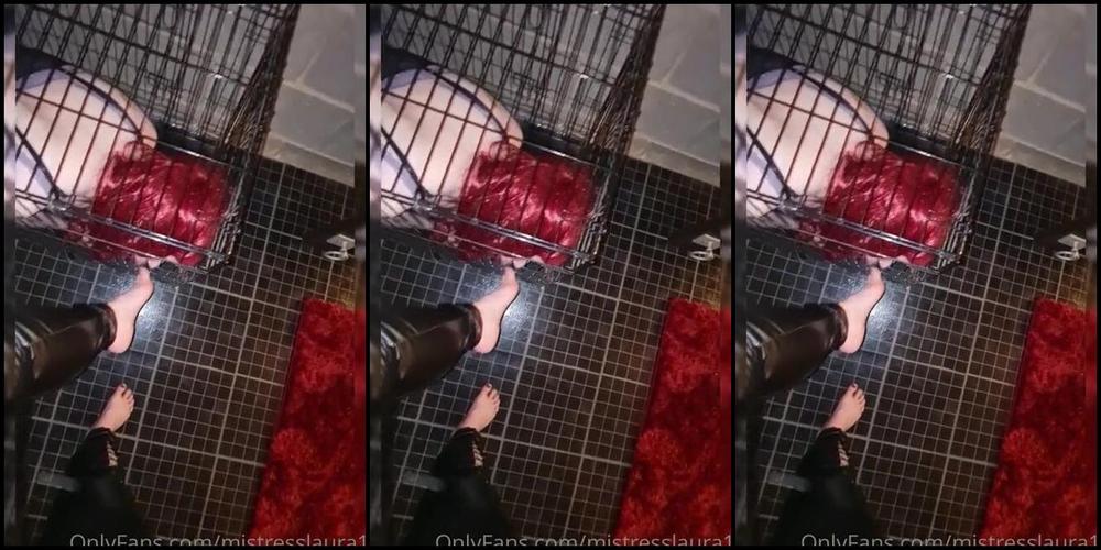 Miss Laura Nicknamed Mistresslaura11 Onlyfans Clip Caged Slut Desperately Addicted To The Feet Of Its Owner Me Theres Nothing This