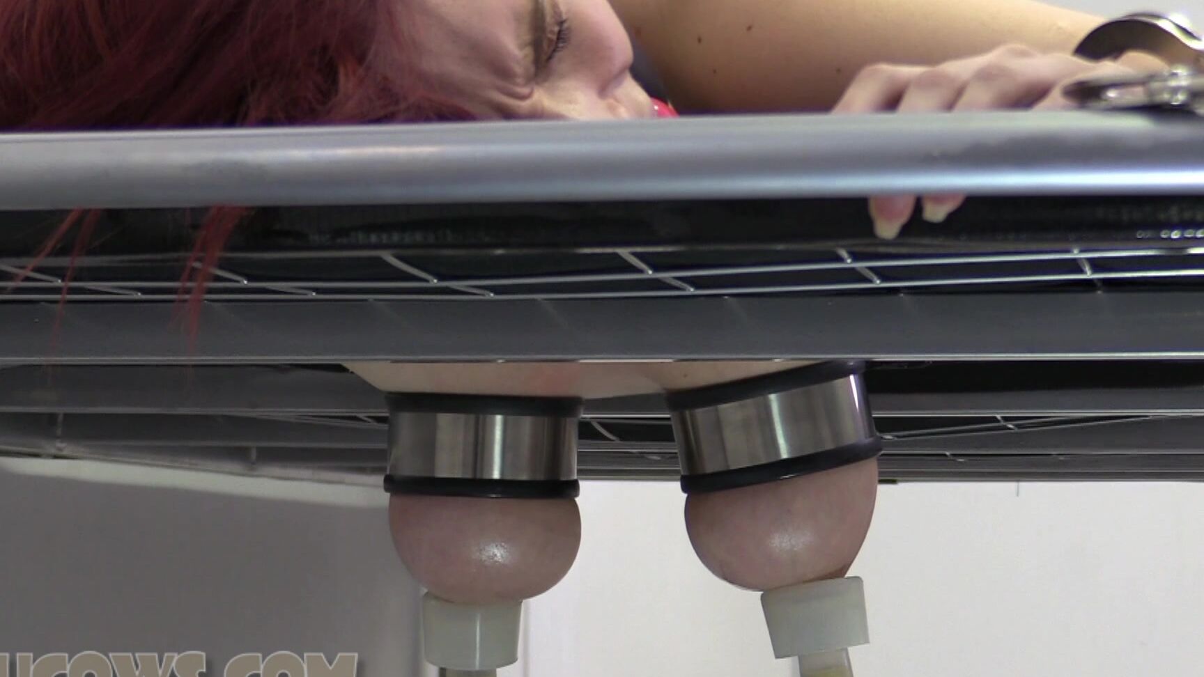 breast training machine, bondage, ball gag, tits bondage Arabella banded udders HuCows.com