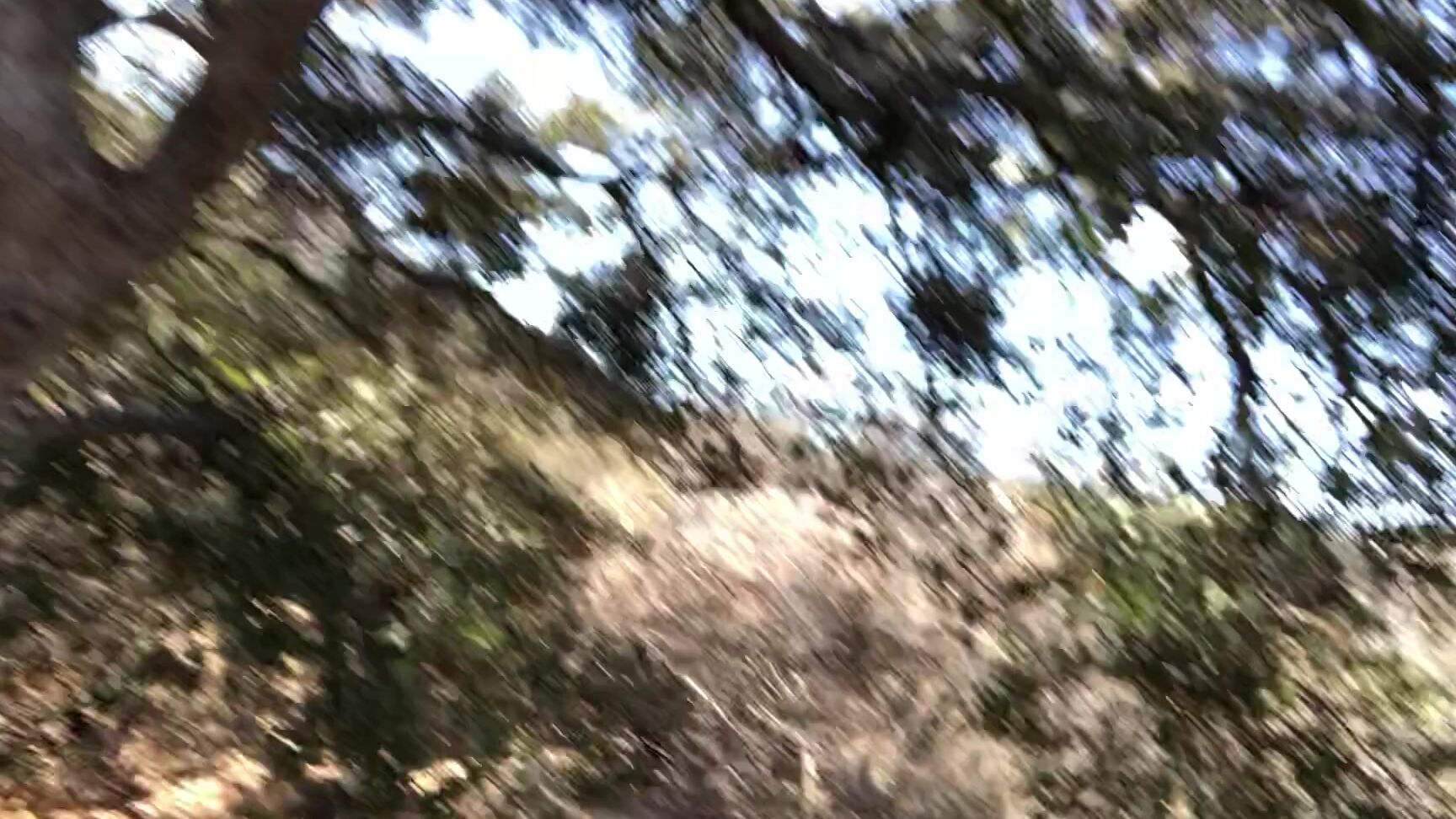 Sevyanharden Found A Nice Spot To See This Beautiful La View