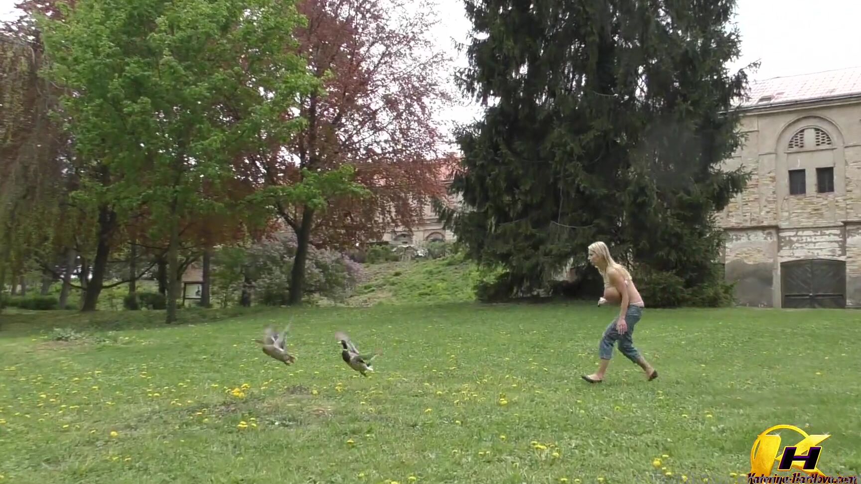 Katy Hartlova Walking In Public Park And Milking Alot P