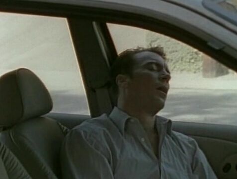 "Nikki Anderson, Bridgette Kerkove, Kristen, Chandra Vega, Mirage, Regan Starr, Mickey G., J.B., Alec Metro, John Strong, Randy Spears" Anal, Oral, All Sex Seether Pleasure Productions