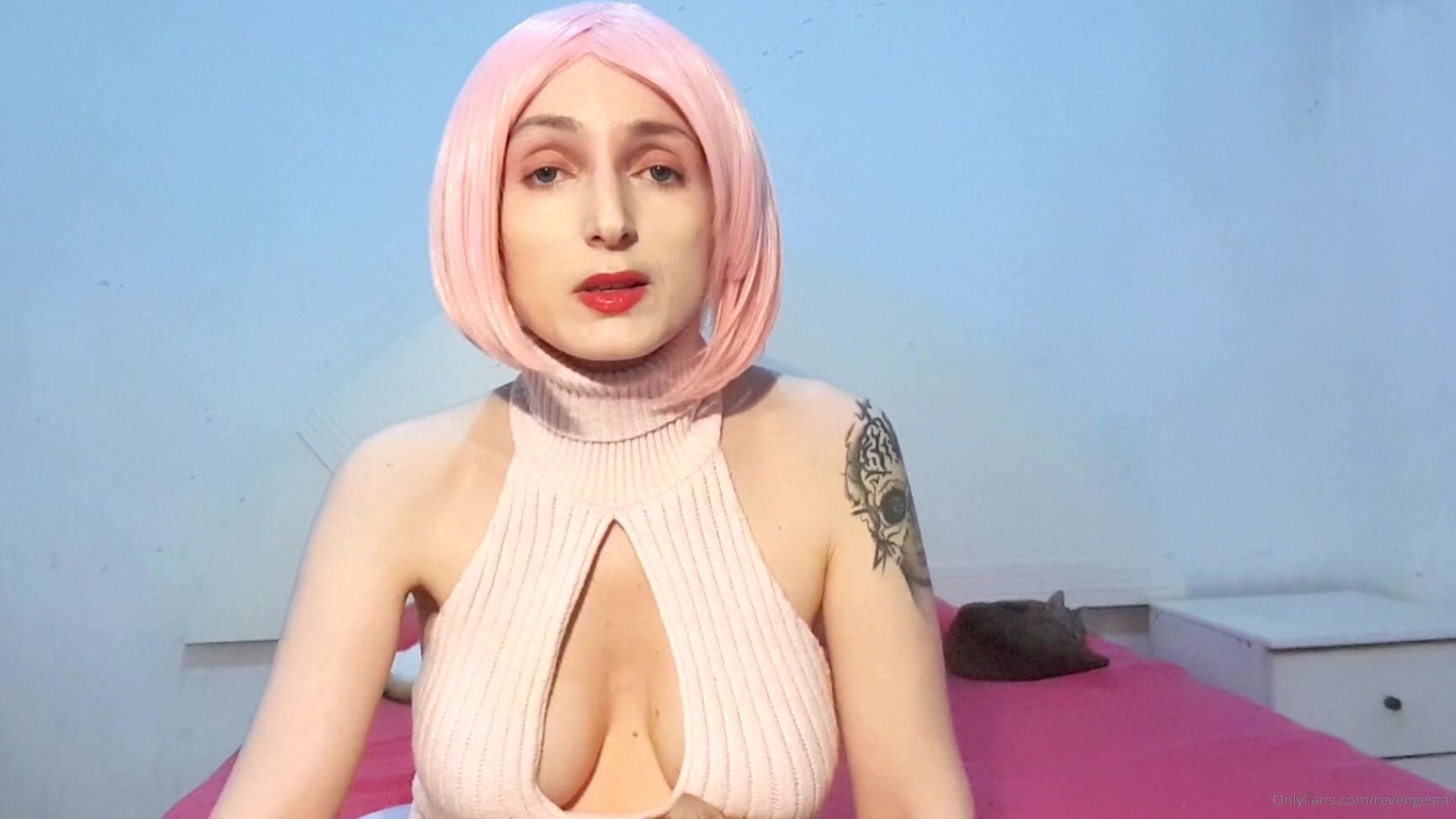 Revengestar What Are Cryptohomosexuals No Not Normal Non Abusive Gay People