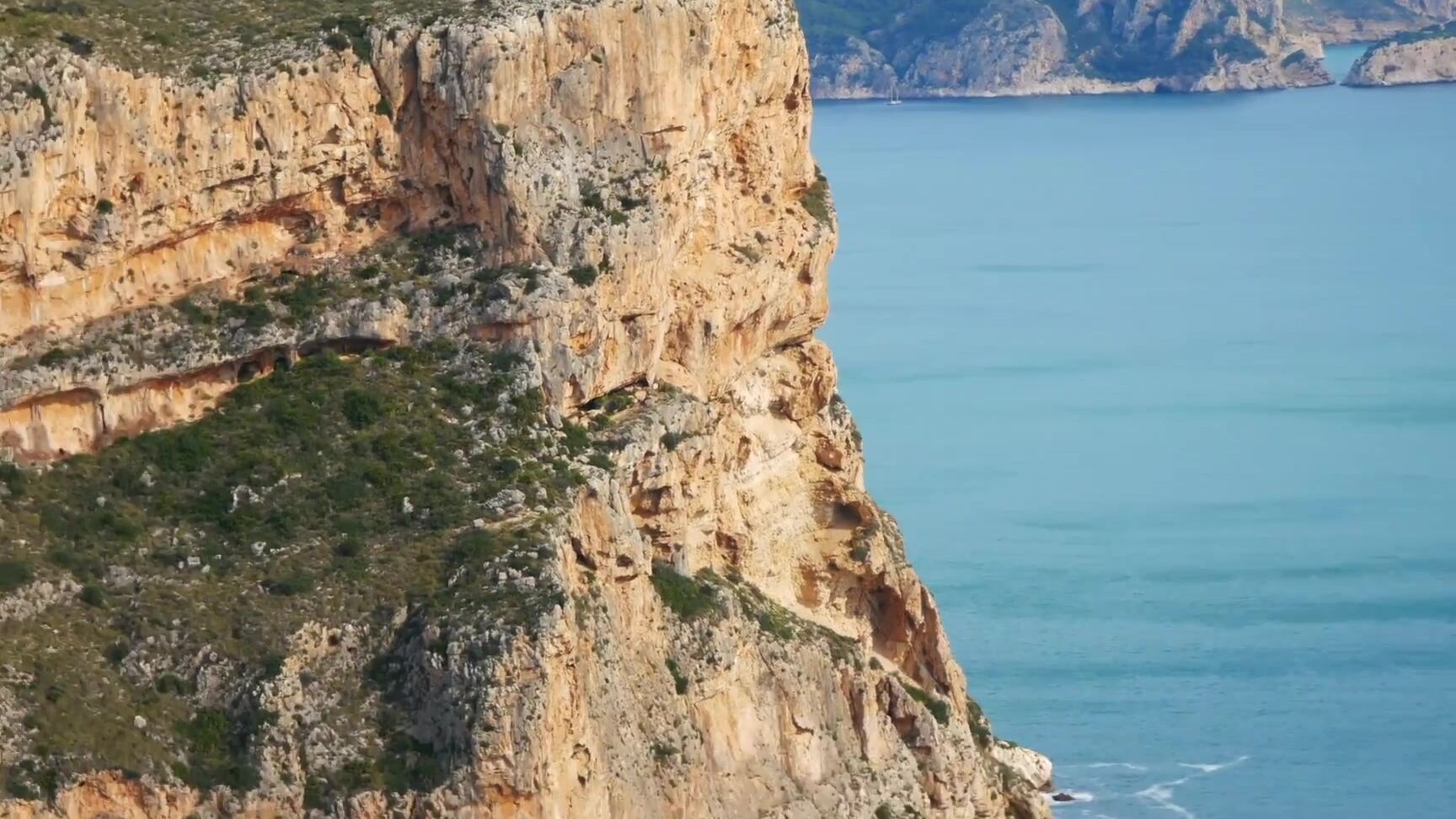 Chihuahuasu Vlog Chihuahuasu Backstage Wsppracy Z Owiaks