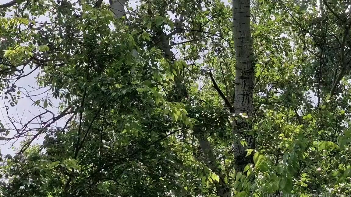 Kathianobilixx Findom 05 18 2024 Onlyfans Video Have A Wonderful Weekend My Loves Such An Wonderful Place Where To Spend The Weekend