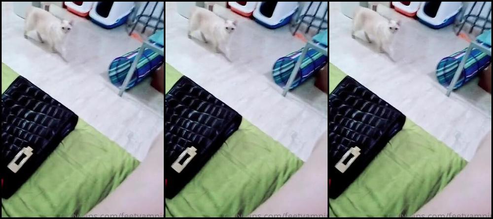 Feetvampire Nicknamed Feetvampire Onlyfans Video 9752