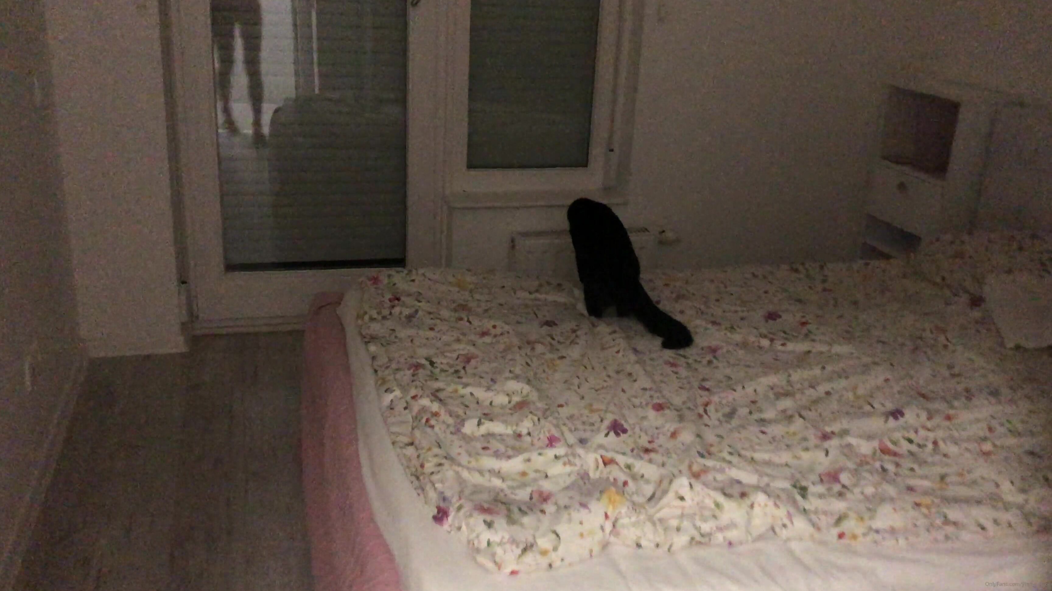 Gina Gerson Good Night