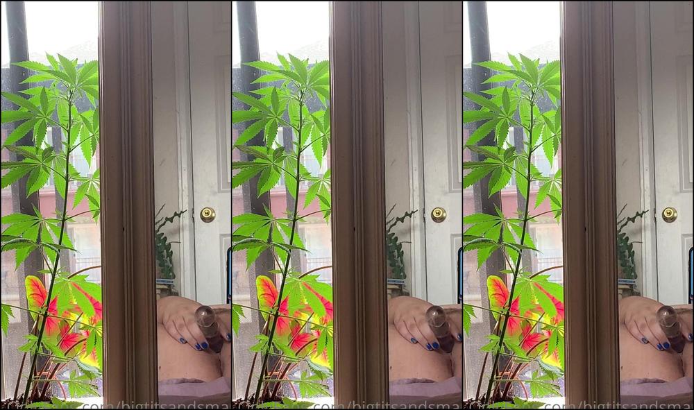 Bigtitsandsmart 2476512521 06 03 2022 Long Video For You Happy June