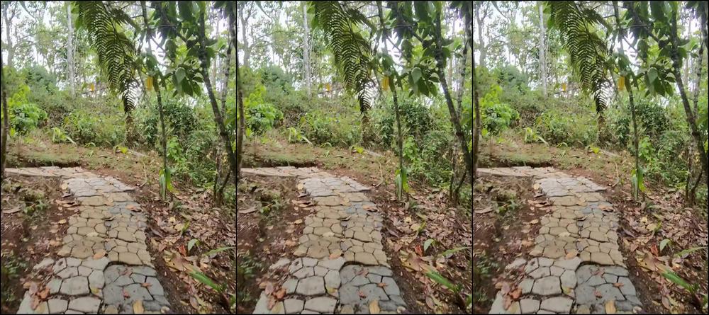 Amelia Wet Angel 3548963443 11 17 2024 Testing Out My New Ray Ban Meta Glasses Would You Want To See More Of The