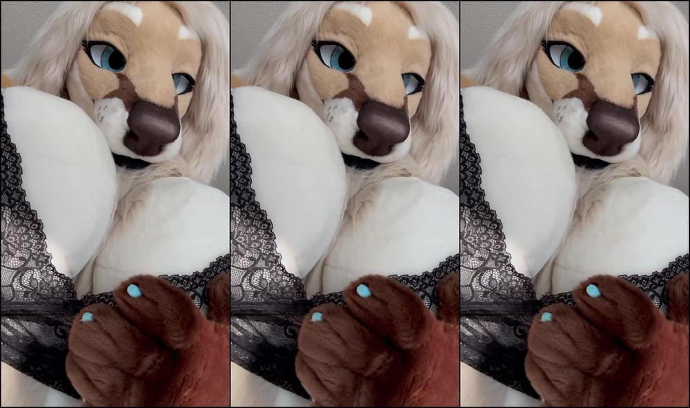 Angel Pups 1346194681 Sorry You Re Having A Bad Day Hun You Can Come Over And Tou 01 0Hv0Auzpts6Uz6B8Gcto7 Source