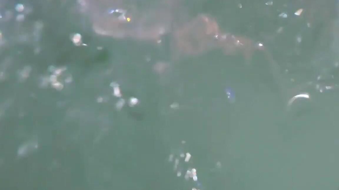 Katrinporto Nude Beach Swim Katrin Porto