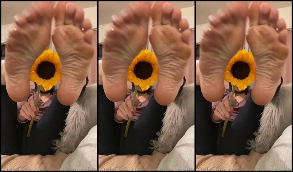 Summer Solesis Nicknamed Summer Solesis Onlyfans A Lil Something To Brighten Your Day