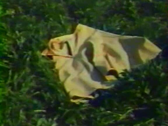 "Mix" Classic, Feature Enquête sur le vice Alpha France