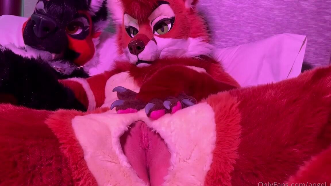 Angel Pups 550698869 Needy And In Heat Don T Keep Them Waiting Naughtywoofs 01 24454B6A Ec17 4E47 9268 F2585478200C