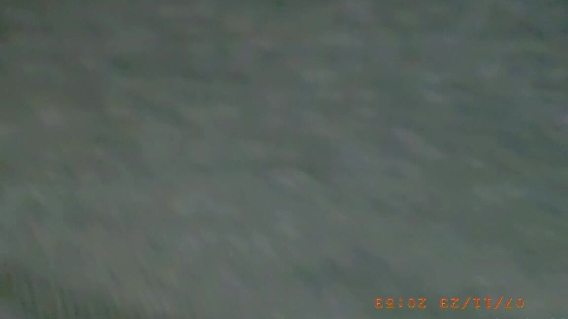 Annalee Vip 2939006834 07 12 2023 I M Baack First Day Back To The Gym So Of Course I Had To Show You My