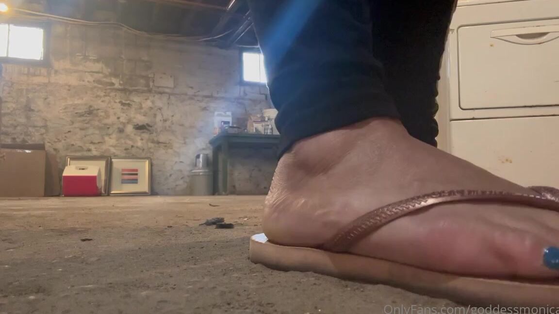 Goddessmonica00W Onlyfans Flip Flop Nation 3P