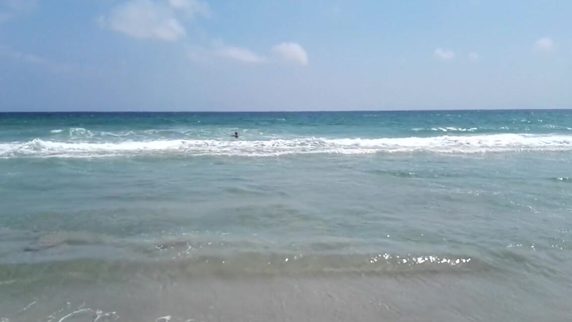 Kathianobilixx Findom 08 09 2017 Onlyfans Video Hot Me Pq5