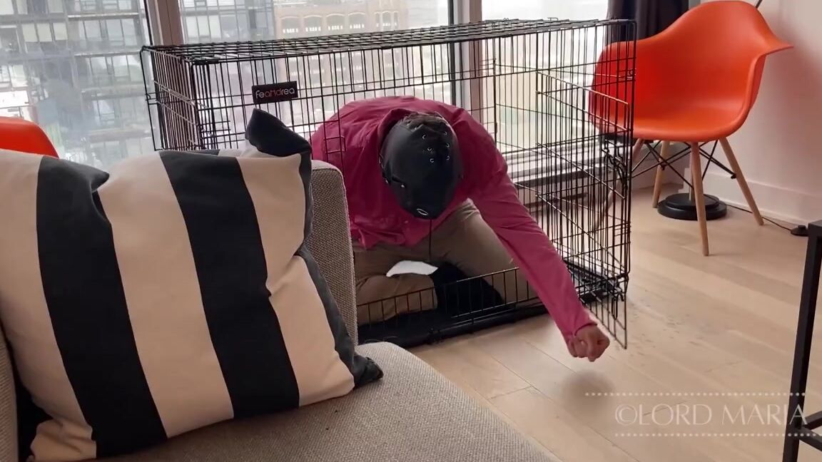 Lord Goddess Maria Onlyfans The Training Continues Cuck Training Is Fundamental To Serving Me Not Only Is My Boyfriend A Big 1P