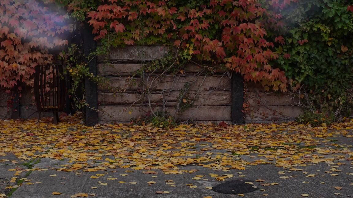 Mistress Trinity Nicknamed Servetrinity Onlyfans With Heavybondage4Life At Resident Avalon My Favorite Mode Of Transportation Ps If You Were The