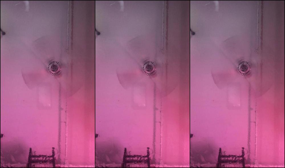 moneybirdette-13-01-2020-125010627-i-said-it-would-be-on-black-cat-so-enjoy