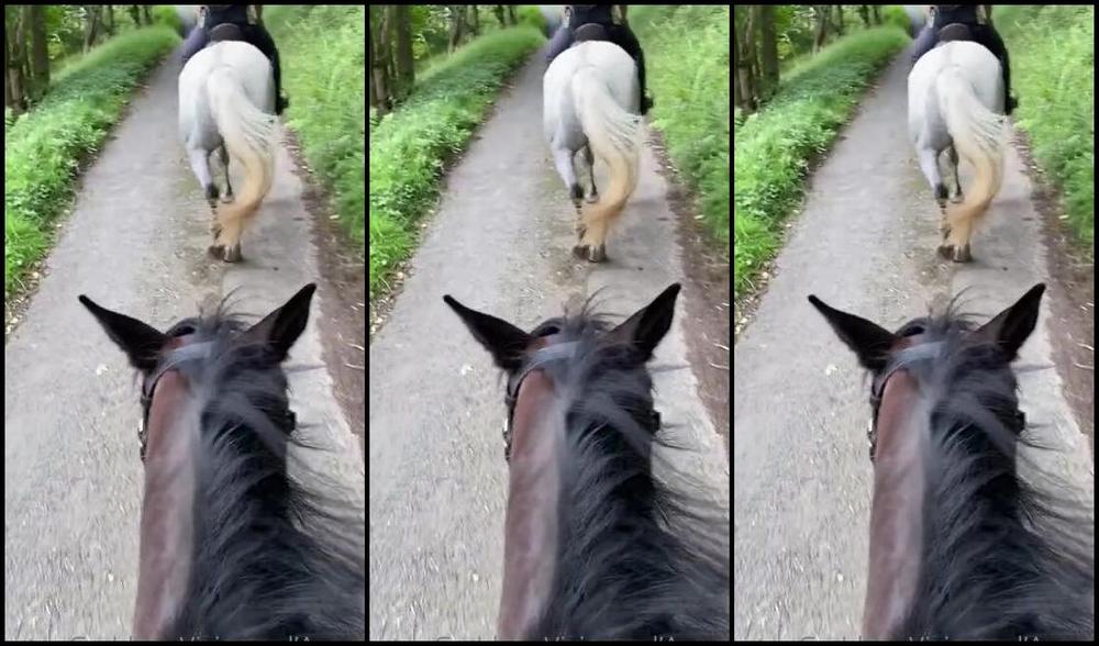 Vivienne L Amour Aka Vlproductionsuk Onlyfans Real Equestrian Mistress I Had A Huge Ex Hunting Horse On Friday He Was Amazing I Loved His Hu 7