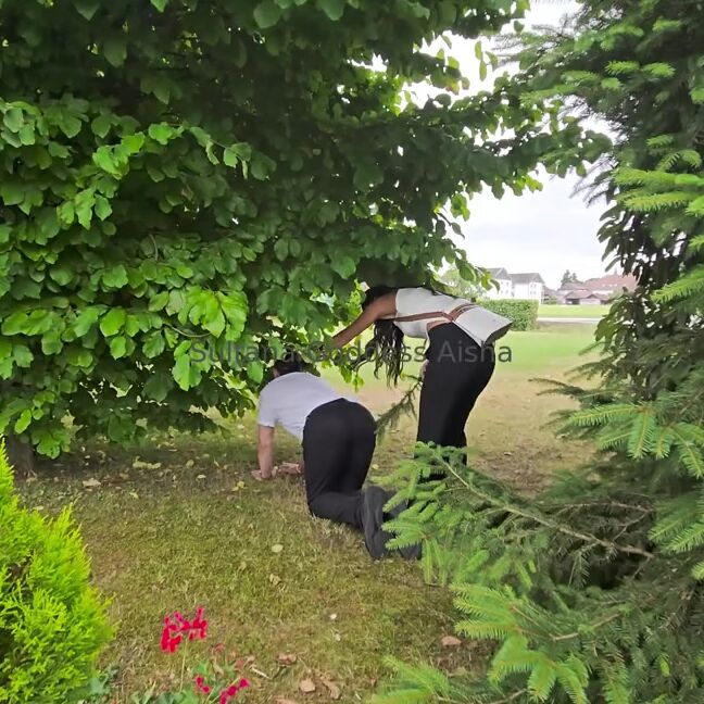 Sultana Aisha Nicknamed Sultanaaisha 07 16 2025 Onlyfans Video Leaked Sultanaaisha 8108