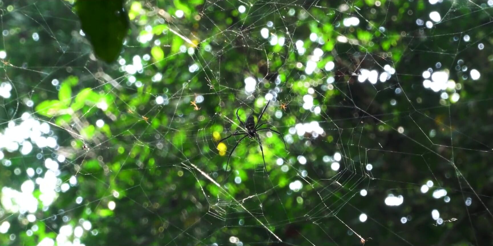 Luna Okko - [Pornhub] - E28 - SUNNY SEX IN AFRICA - LUNA'S JOURNEY SiteRip