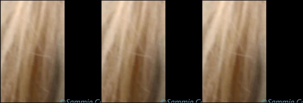 Jeans Fetish, Public Flashing, Tight Asses, Wedgies sammie cee wedgie fetish wedgies in a supermarket ManyVids