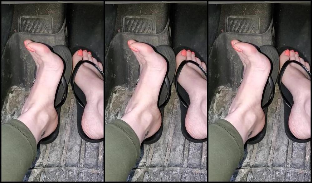 Sloans Paws Nicknamed Sloan Paws 03 14 2020 Onlyfans Video Can See It Much Brighter Here But Still Not As Pretty As In Person Please Ignore