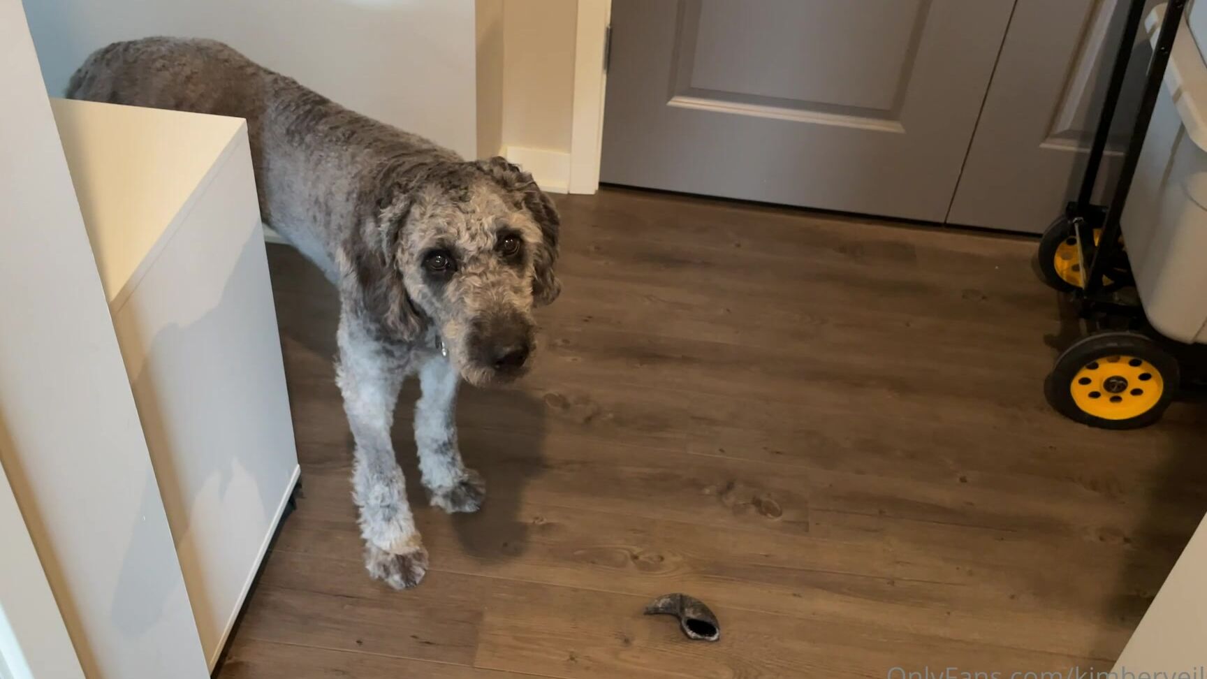 Kimberveilsplus Packing Up The House