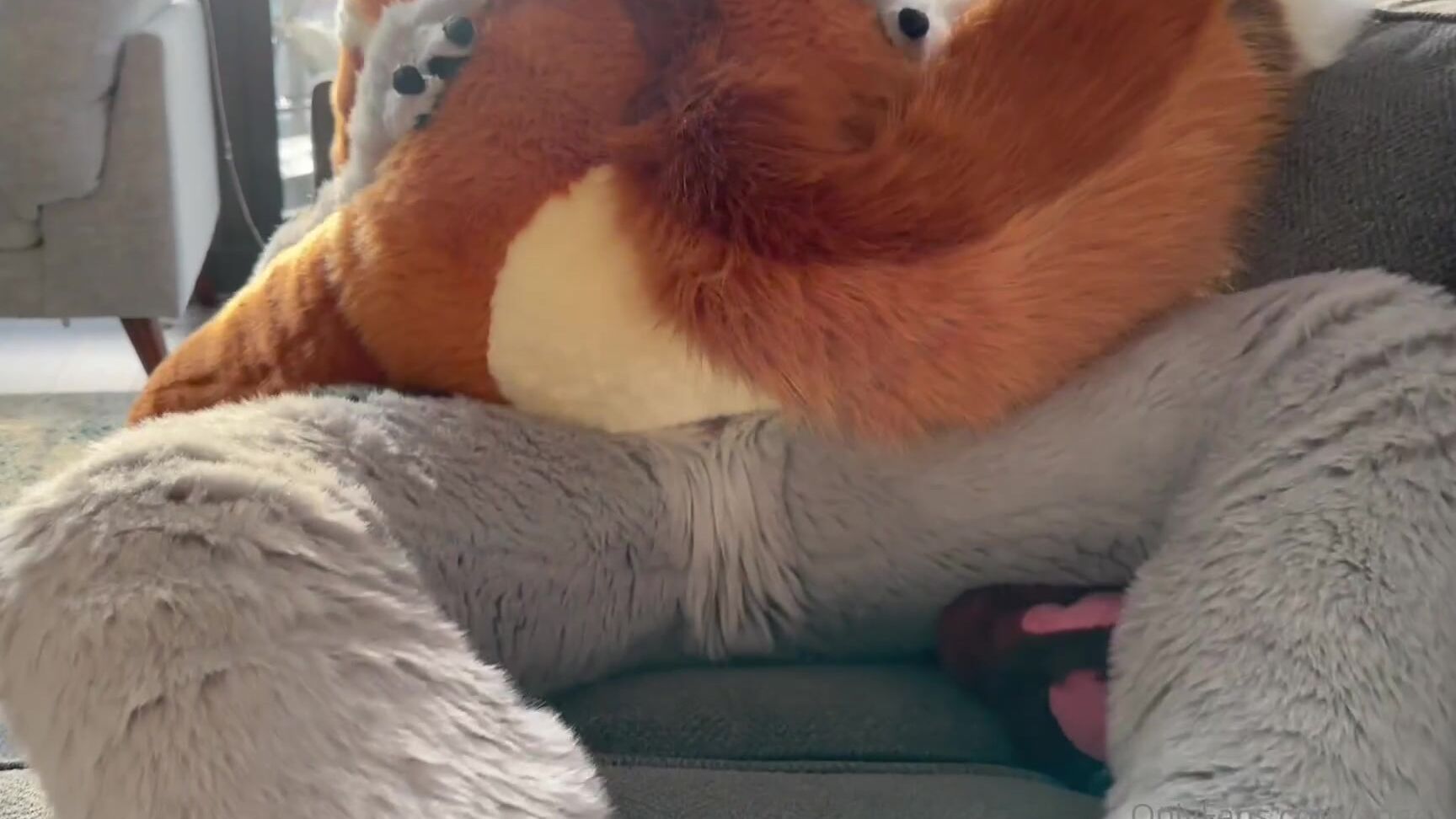 Angel Pups 1552682742 Just A Fox And Wolf Celebrating Valentine S Day 01 0Hyqnk7X0Nx9K6331Mox1 Source