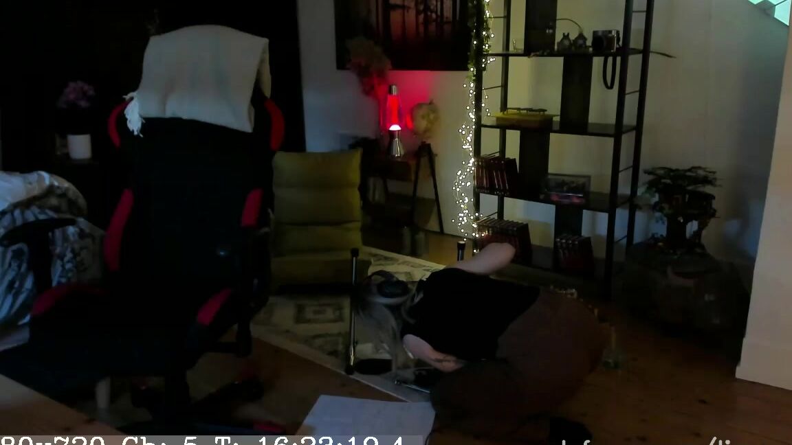 Lisamaus Sex Machine Aufgebaut