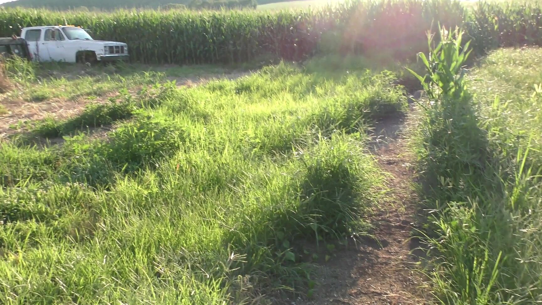 Lovelyliv Talk About The New Photo Set Pt