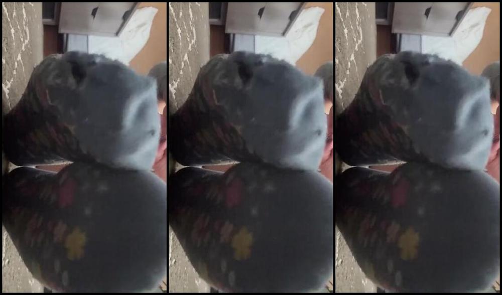 Goddessmonica00W 01 18 2025 Onlyfans Video Stinky Socks Joip