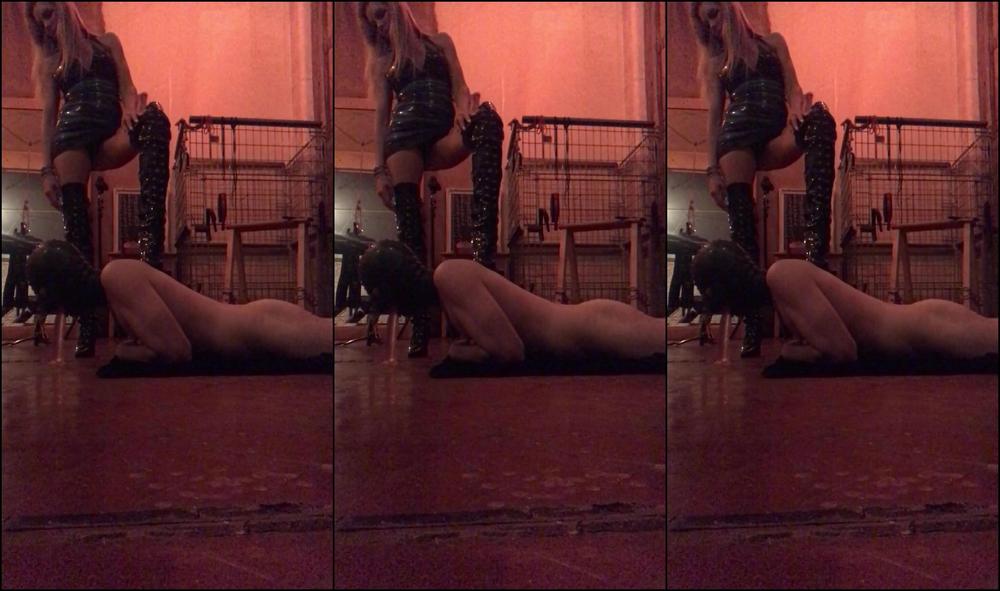 Min Video Clip Of My Session Getting My Sub To Suck A Dildo Stuck To The Floor