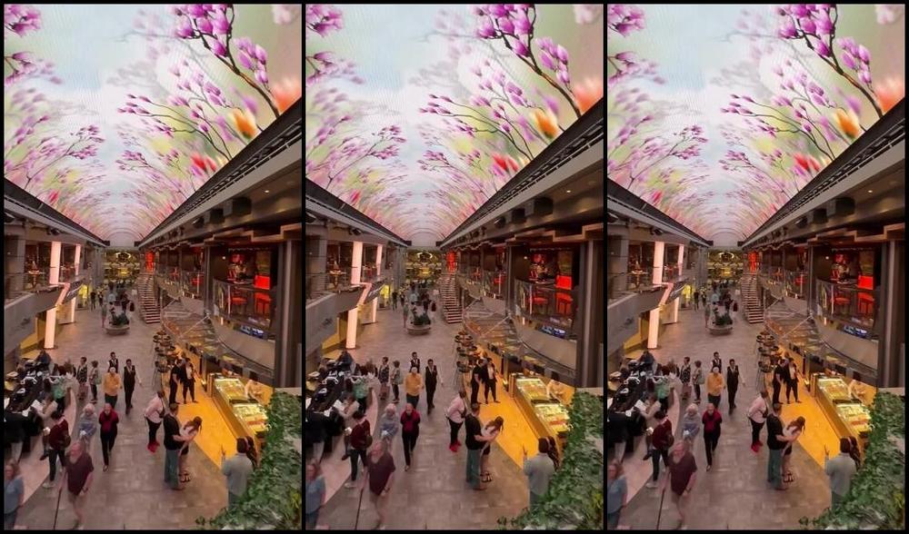 Longtoesally Nicknamed Longtoesally Stormy 04 25 2025 Onlyfans Video I Love There Ceiling Displays Cruise Jan 2024