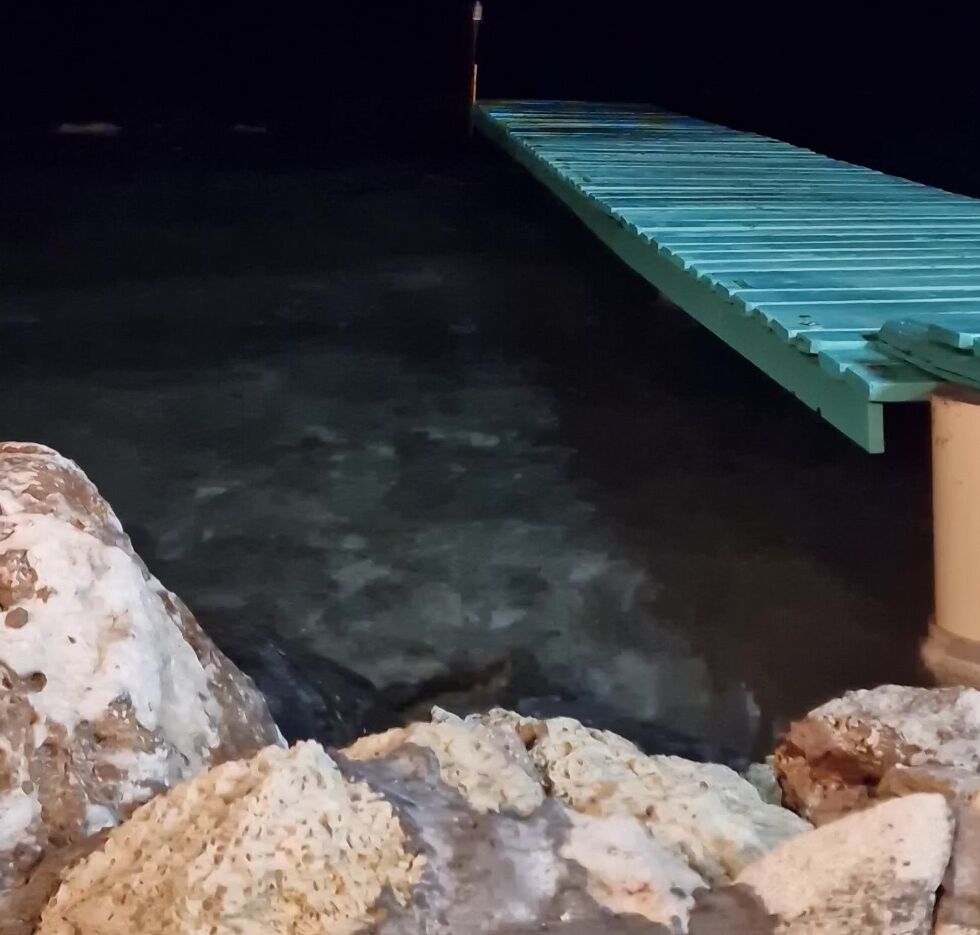 Travelling Peach 3504539591 09 30 2024 Cura Ao Day Sixanother Day No Flower This Day How We Miss The Simple Things Hehe There