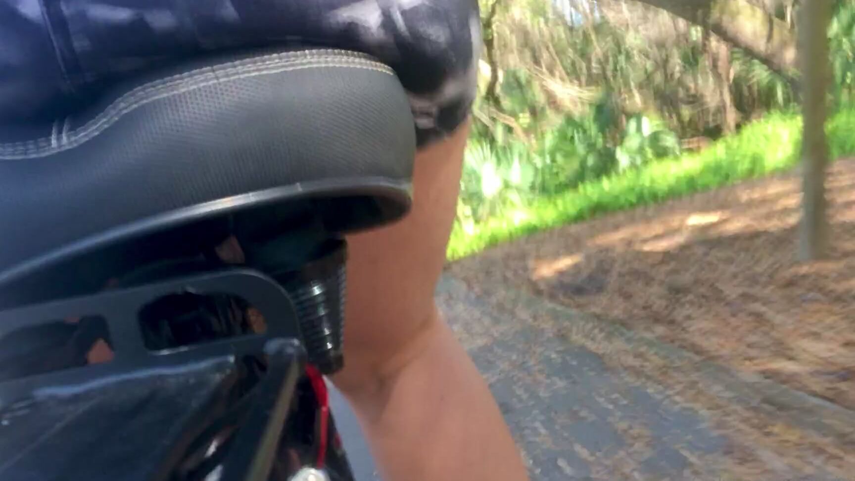 Kittibelle Kitti S Pervy Adventures Through The Woods Still Recovering With My Nose But I Took A