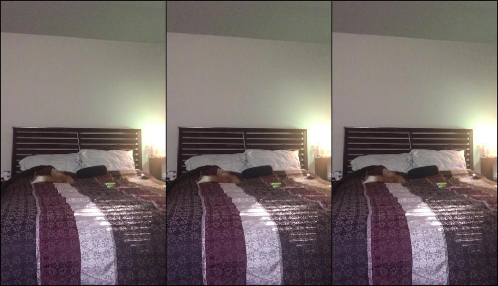 Mrzqiss Play Time Daddy