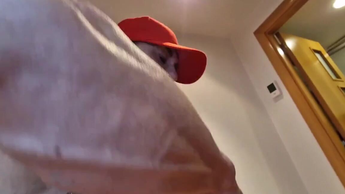 Alejandra Chacon Aka Alejandrachacon 05 24 2023 Onlyfans Video I Love It Give Me More Ideas